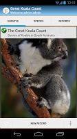 Great Koala Count APK Cartaz #1