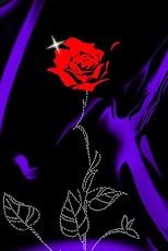 ���� ������� ��������� ���� II