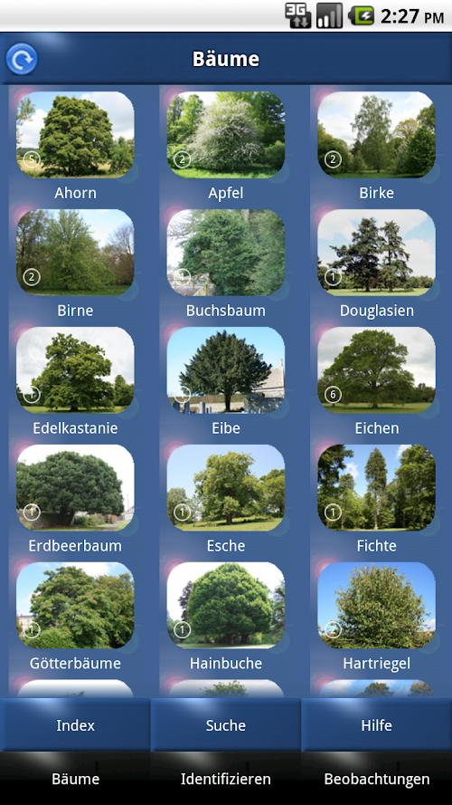 Android application Baum Id Schweiz - Bäume screenshort