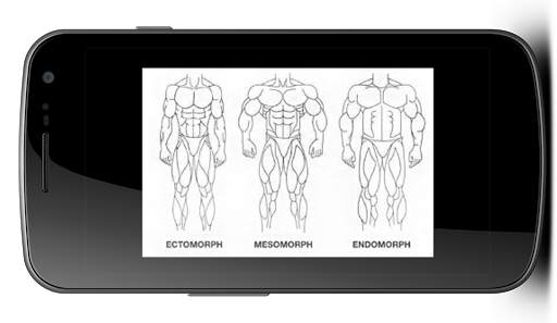 Mass Building Workouts Muscle