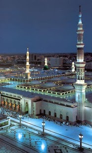   Madina Live Wallpapers- screenshot thumbnail   