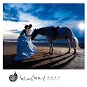 blue bay wedding logo