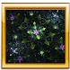 Legend 3d Photo Gallery