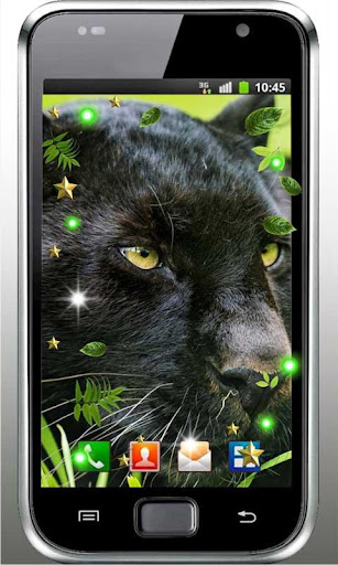 Pantera Black Leopard HD LWP