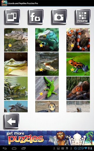 【免費街機App】Lizards & Reptiles Puzzles Pro-APP點子