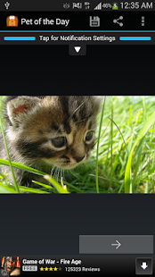Pet of the Day: Dog & Cat Pics Screenshots 1