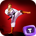 Kung Fu 3D icon
