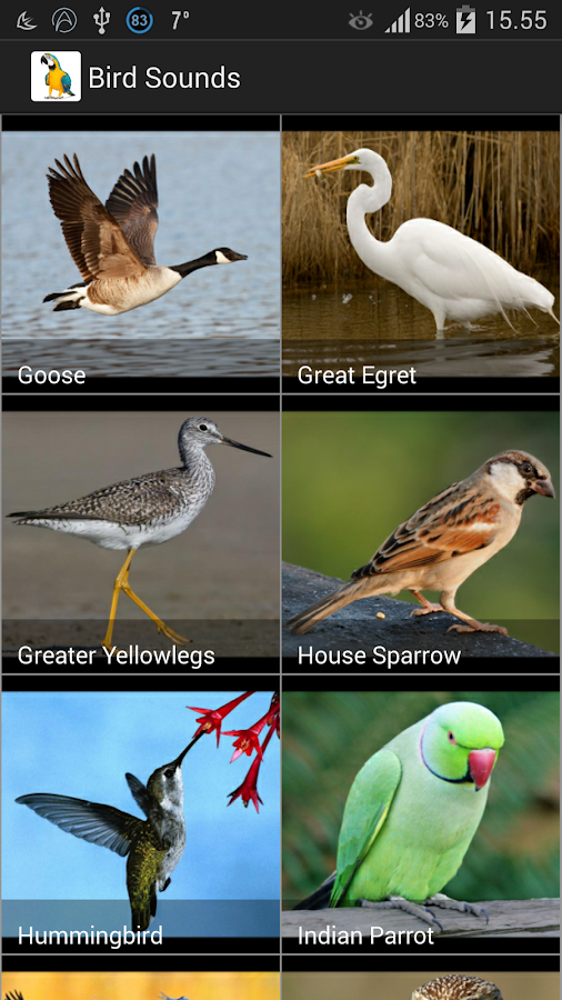 Bird Sounds Android Apps on Google Play