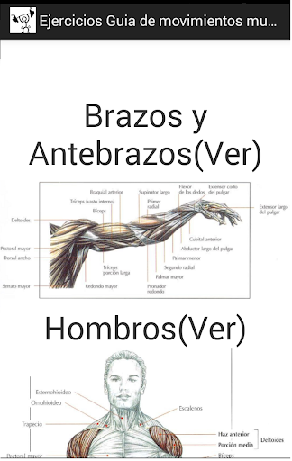 Ejercicios guia de movimientos