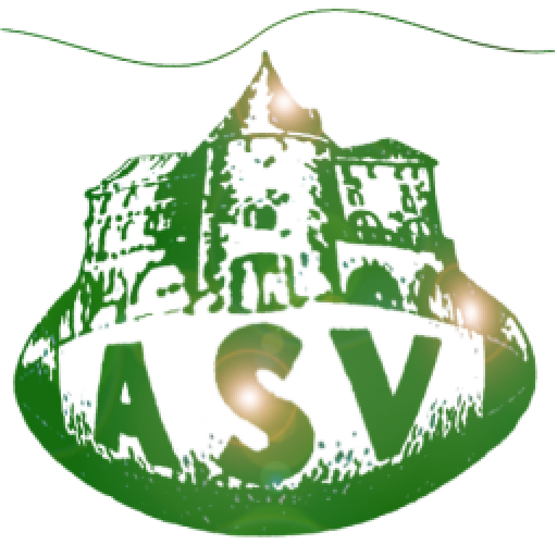 A.S.Villemur XV LOGO-APP點子