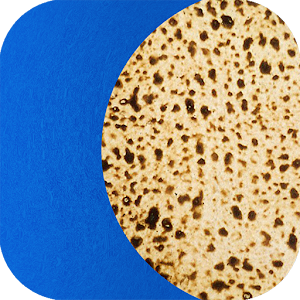 Passover Assistant.apk 1.1.6