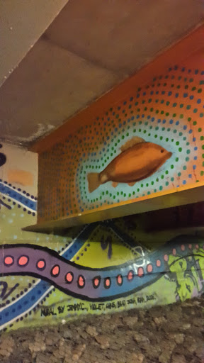 Indigenous Fish Mural