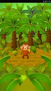 Jungle Monkey