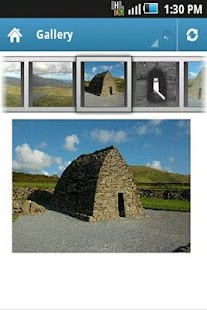 Lastest Dingle APK