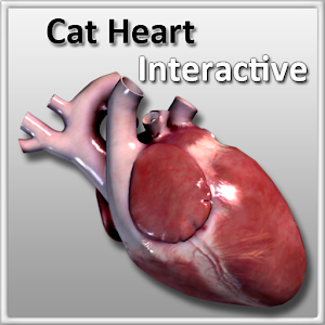 Cat Heart Interactive logo
