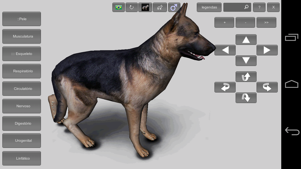 Anatomy software online