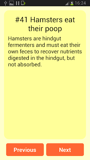 【免費娛樂App】Amazing Hamster Facts-APP點子