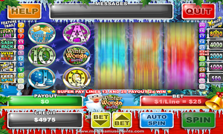 Winter Wonga Slots poster 5