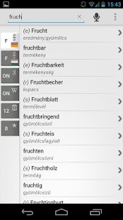 Dictionary Hungarian German - náhled