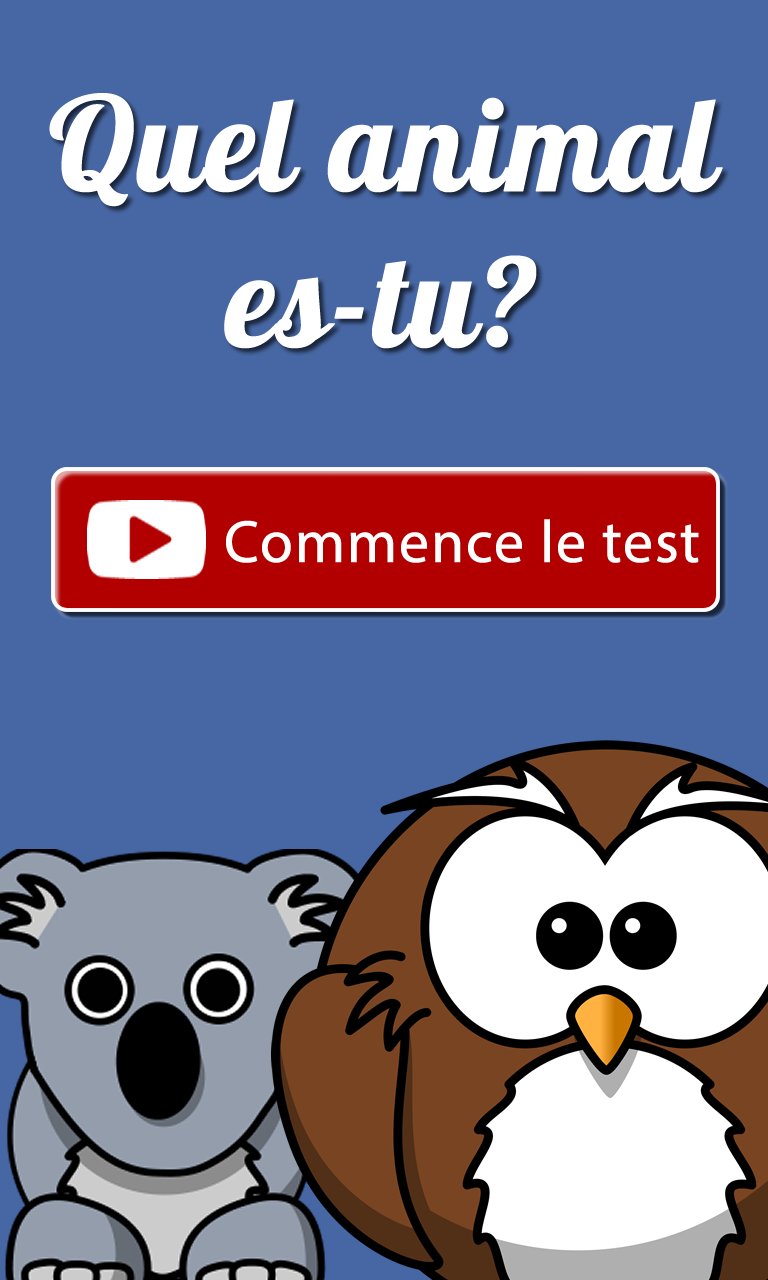 Android application What am I? screenshort