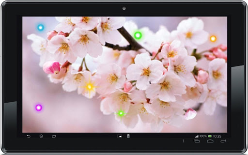 免費下載個人化APP|Spring Cherry Sakura LWP app開箱文|APP開箱王