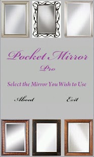 Pocket Mirror Pro Screenshots 0