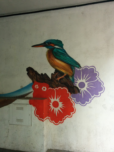 Colibri Flowers