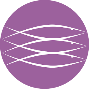 Tampereen seurakunnat 1.6