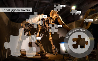 Dallas Jigsaw Puzzles Demo poster 10