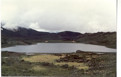 Laguna Trafipan