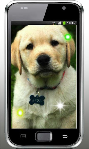 Puppy Pet Free live wallpaper