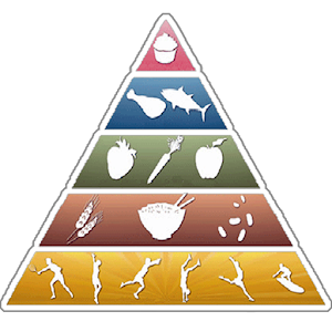 Nutritional Values Pro logo