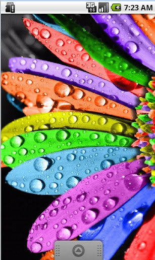 Rainbow Drop Live Wallpaper