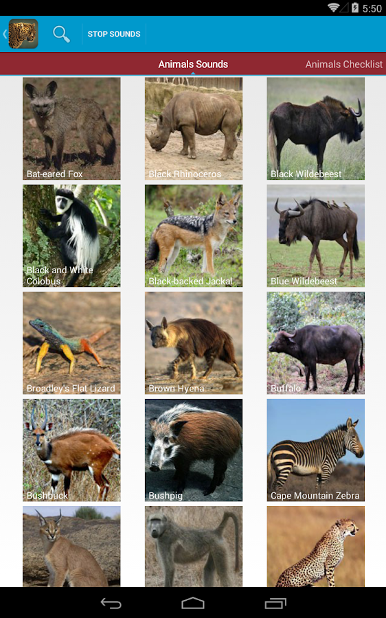 Safari Animal Sounds and List - Android Apps on Google Play