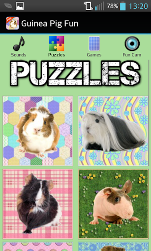 【免費家庭片App】Guinea Pig Games-APP點子