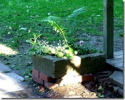 DSCF2970