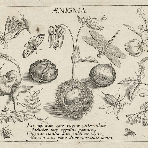 Dieren En Bloemen Rond Kastanjes, Jacob Hoefnagel, After Joris 