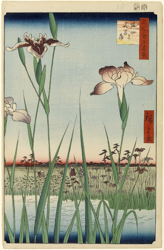 Horikiri Iris Garden (Horikiri no Hanashobu), No. 64 from One Hundred Famous Views of Edo