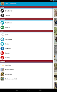 North American Birds Sounds Screenshots 7