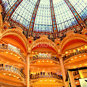 The Dome of Galleries LaFayatte, Paris by Sajal Gupta - Buildings & Architecture Other Interior