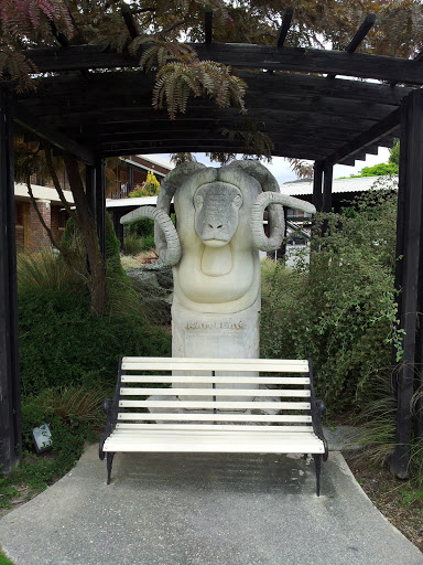 Ram Beau Merino Statue