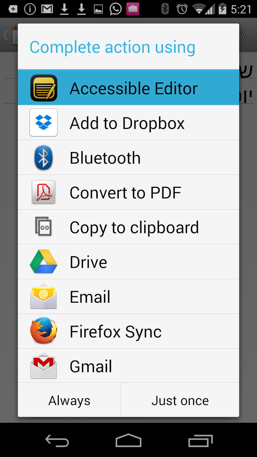 Accessible Editor Talkback Pro Screen 2