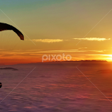 Free like a bird by Bernarda Bizjak -  