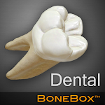 BoneBox™ - Dental Lite Apk