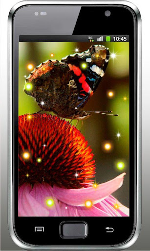 Summer Butterfly livewallpaper