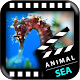 Best Sea Animals APK