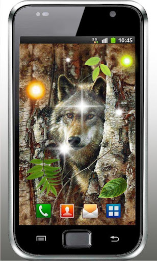 Wolf Forest HD live wallpaper