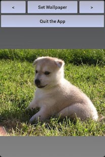 Free Download DogPaper Wallpapers HD APK for Android