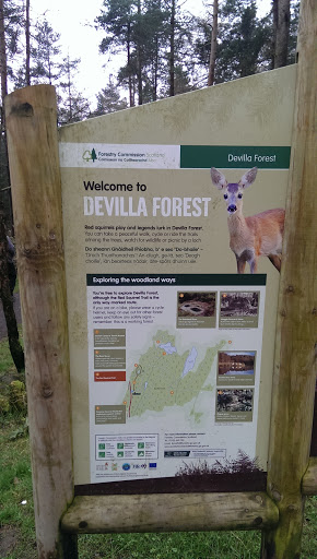 Devilla Forest