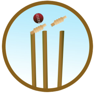 Cricket 2015 1.0